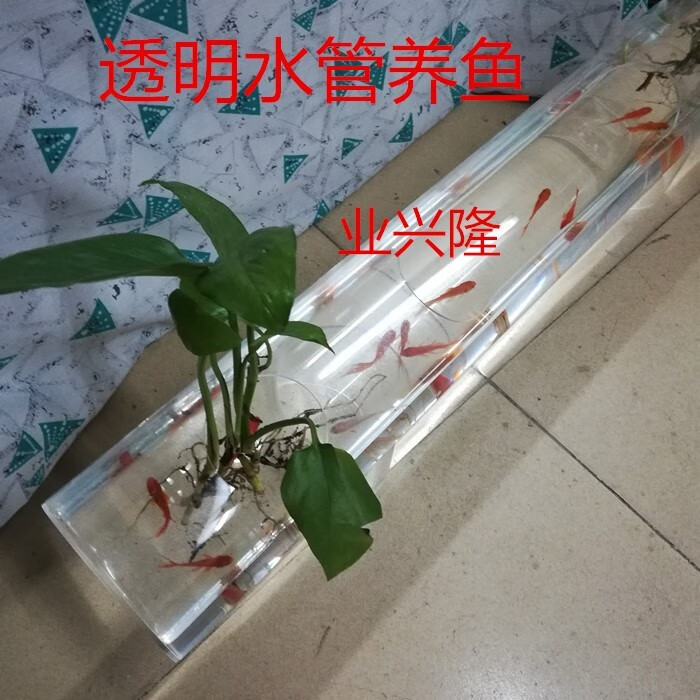 中掌柜透明圆水管养鱼透明亚克力管高透明形圆筒透明有机玻璃管桌面