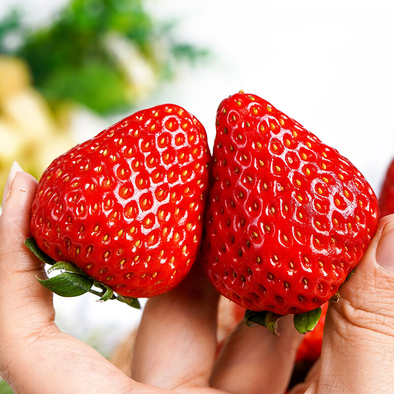 飘香果度【顺丰直达】红颜奶油草莓99红颜草莓新鲜次日达陕西草莓非丹东 净重1000g 大果(单果20-25g)头茬试吃/尝鲜可选