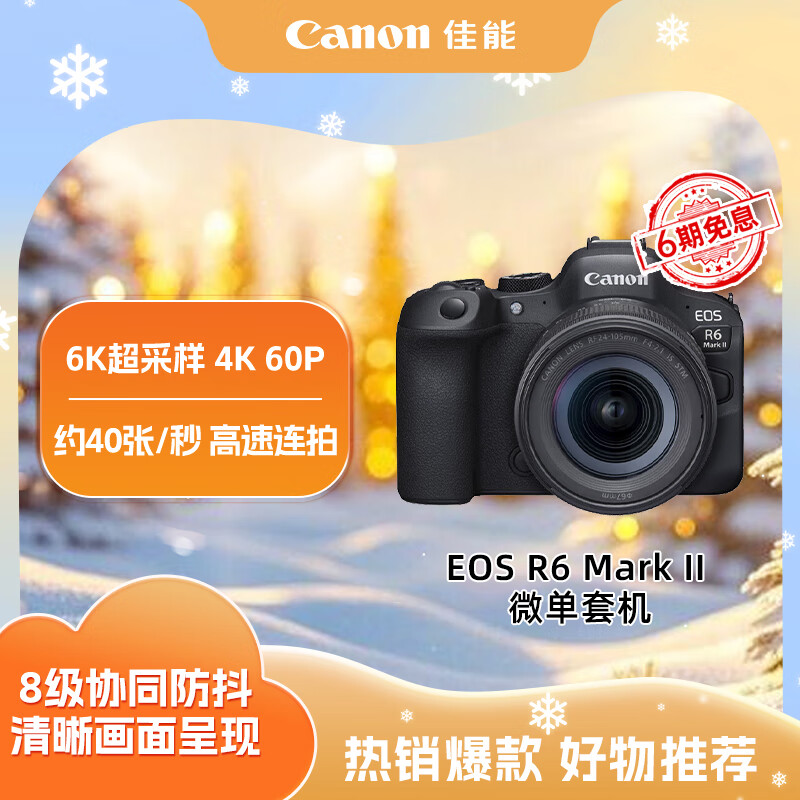 佳能（Canon）EOS R6 Mark II R6二代 新标准全画幅微单相机R62 24-105 STM标准镜头套装