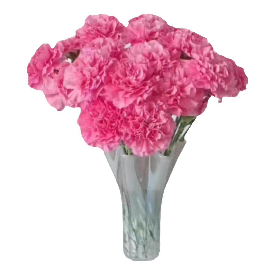 38Ů��Ů������3.18��ĸ�׽ڿ���ܰ�ʻ�������������ֱ��2 �����ɫ10֧