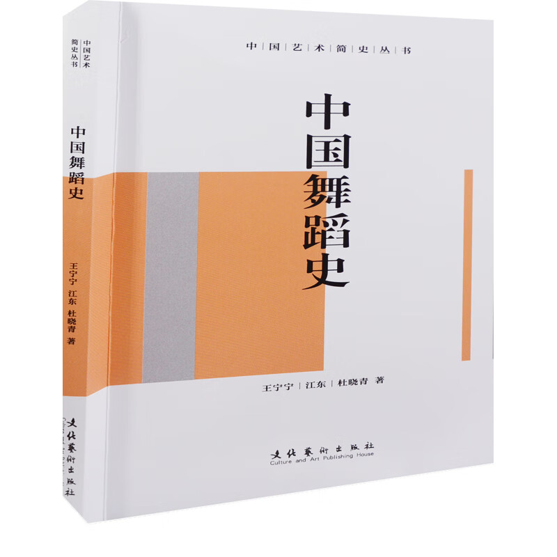中国舞蹈史王宁宁舞蹈文化艺术出版社新华书店正版