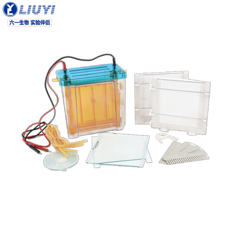 六一双垂直电泳仪dycz-24f注塑实验室微型电泳槽dna蛋白质原位制胶
