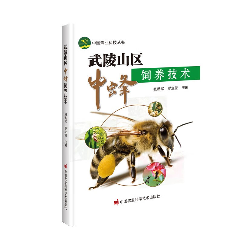 武陵山区中蜂饲养技术