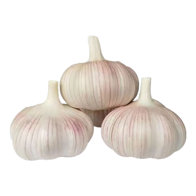 超实惠 新鲜特级大蒜干蒜家用大蒜批发 精选大果 福利200g