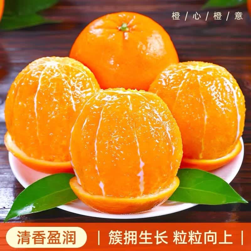 正宗赣南脐橙现摘橙子新鲜赣州产地直发江西大果当季水 5斤 75mm(含)-80mm(不含) 大果， 更大更甜