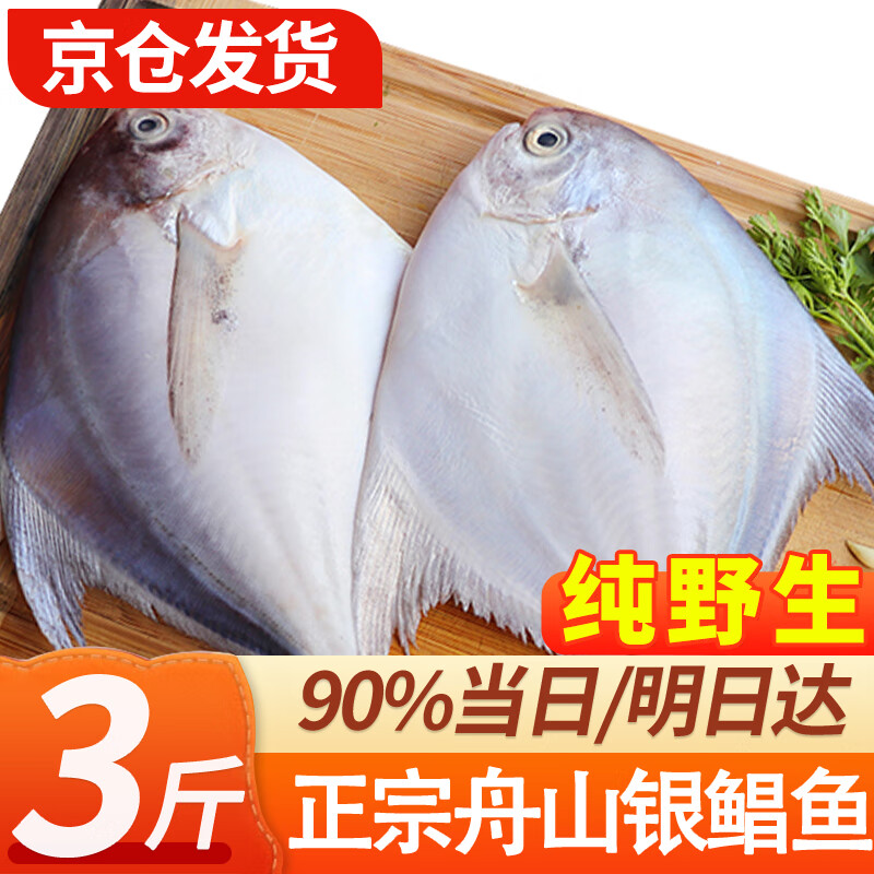 弹指鲜生舟山银鲳鱼 新鲜冷冻白鲳鱼 平鱼清蒸香煎烧烤食材 舟山银鲳鱼净重3斤（约5-8条/斤）