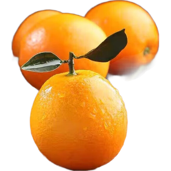 ��ͨ�������-��԰��ժ ���ڸ�����������Ӧ��ˮ�� ����2��װ 60-75mm 3.99Ԫ