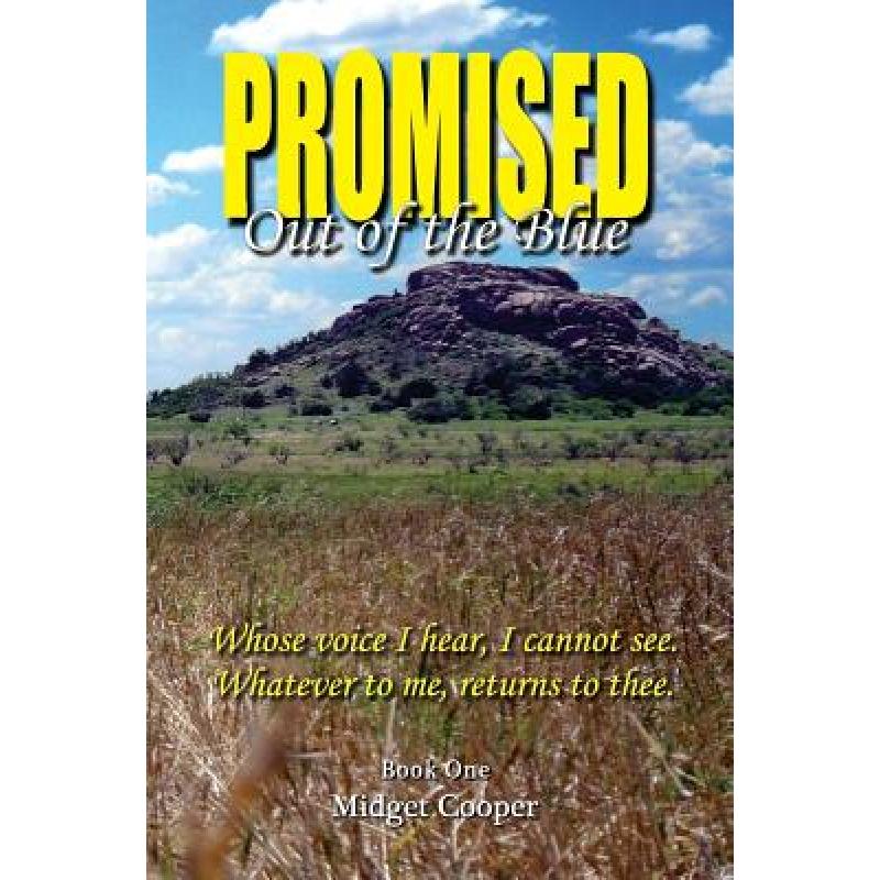 预订 promised: out of the blue