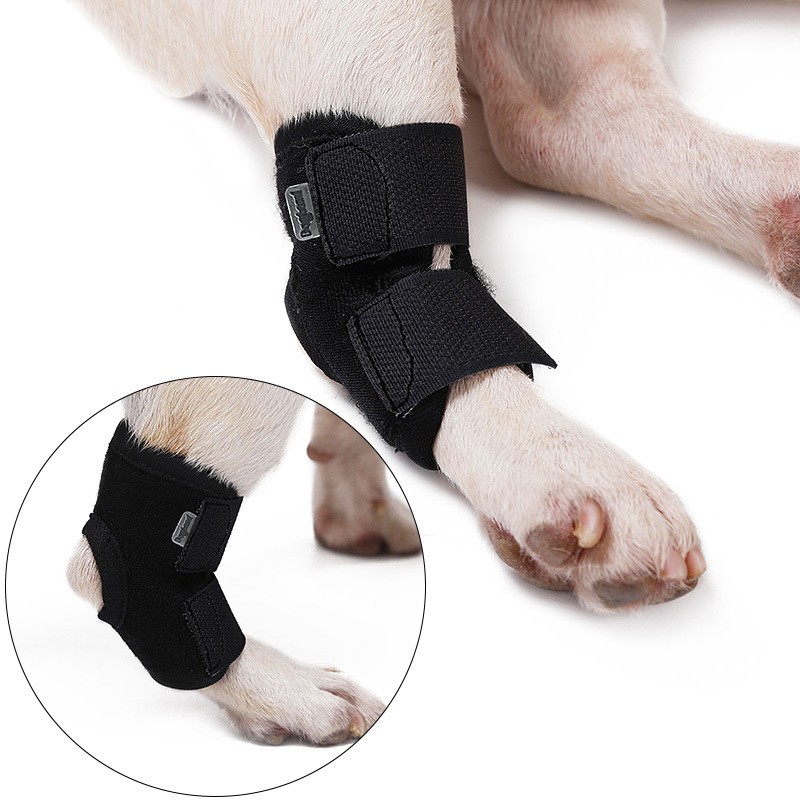 派得狗狗后腿残疾助力带受伤防舔关节炎固定恢复辅助绑带短筒包裹腿部