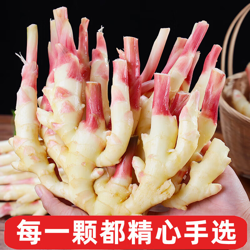 嫩姜新鲜大仔姜子姜山东红芽生姜四川指头姜非云南小黄姜老醋鲜姜