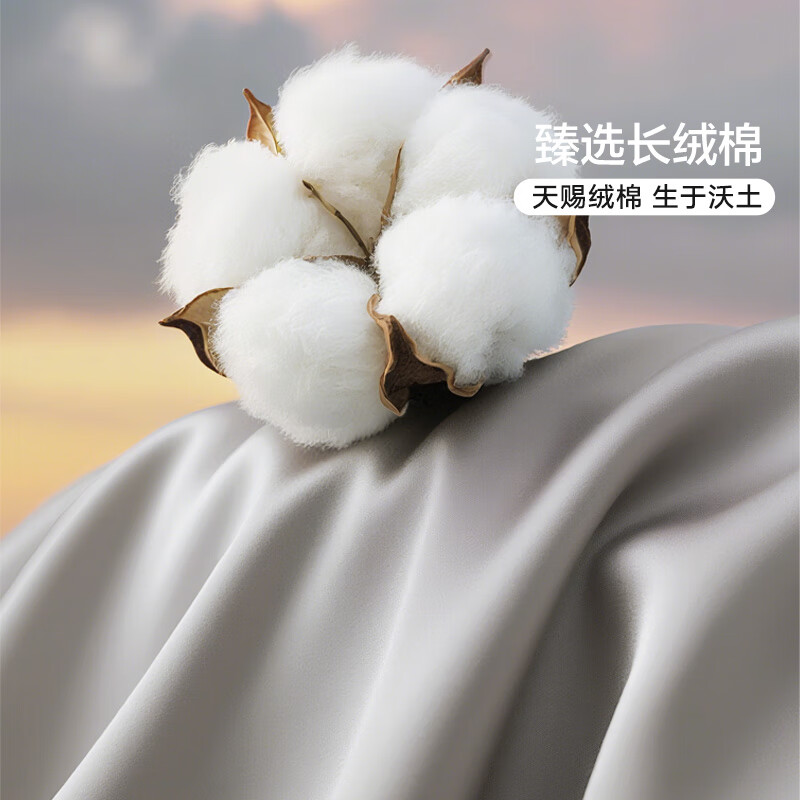 馨而乐(Bravo)富安娜出品四件套100支长绒棉贡缎夏季高级感轻奢1.8m床单被套230*229cm
