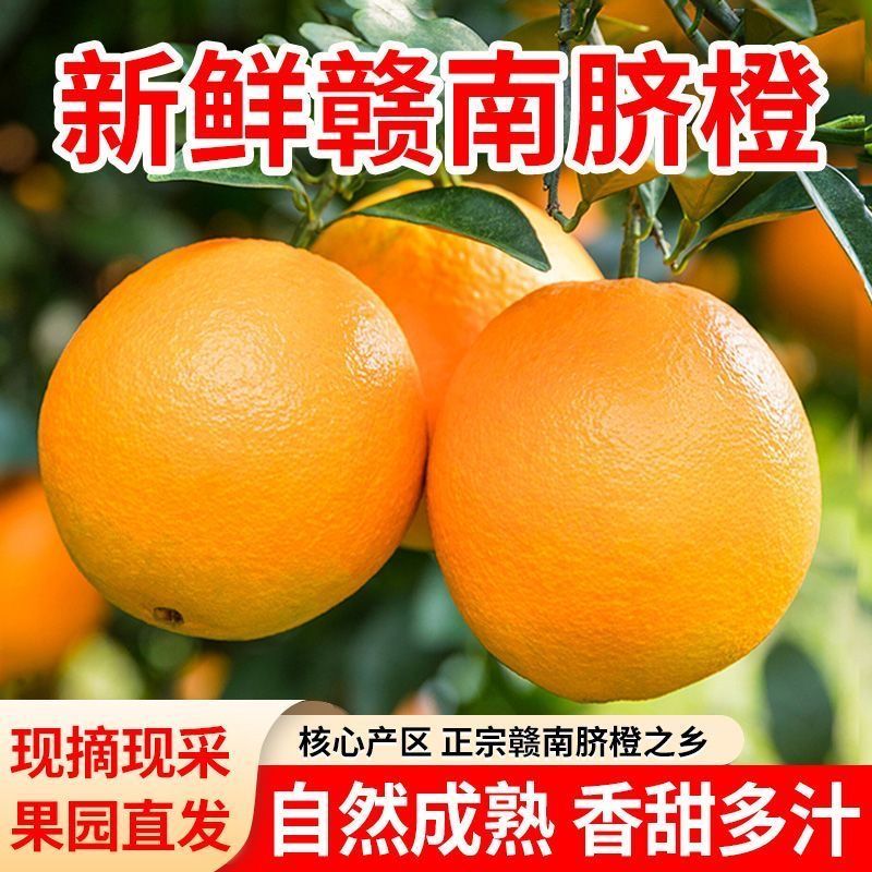粤迎赣南脐橙橙子正宗好吃当季原产地直发香甜好新鲜水果手剥橙子 10斤优选果【香甜爆汁】净9斤