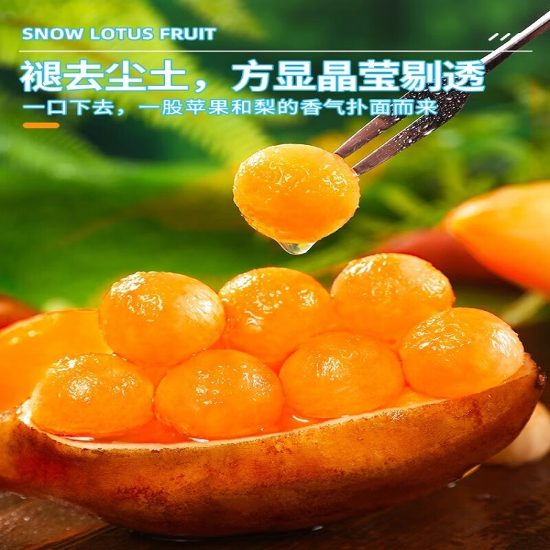甜果源 云南天山雪莲果  高山红泥沙雪莲果云南特产时令应季新鲜水果 净重5斤【80%人选择】大果 【实惠装】