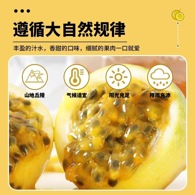 樱鲜正宗钦蜜9号黄金百香果清甜多汁鲜产地直发当季新鲜水果整箱包邮 30个老树果丨单果30g+