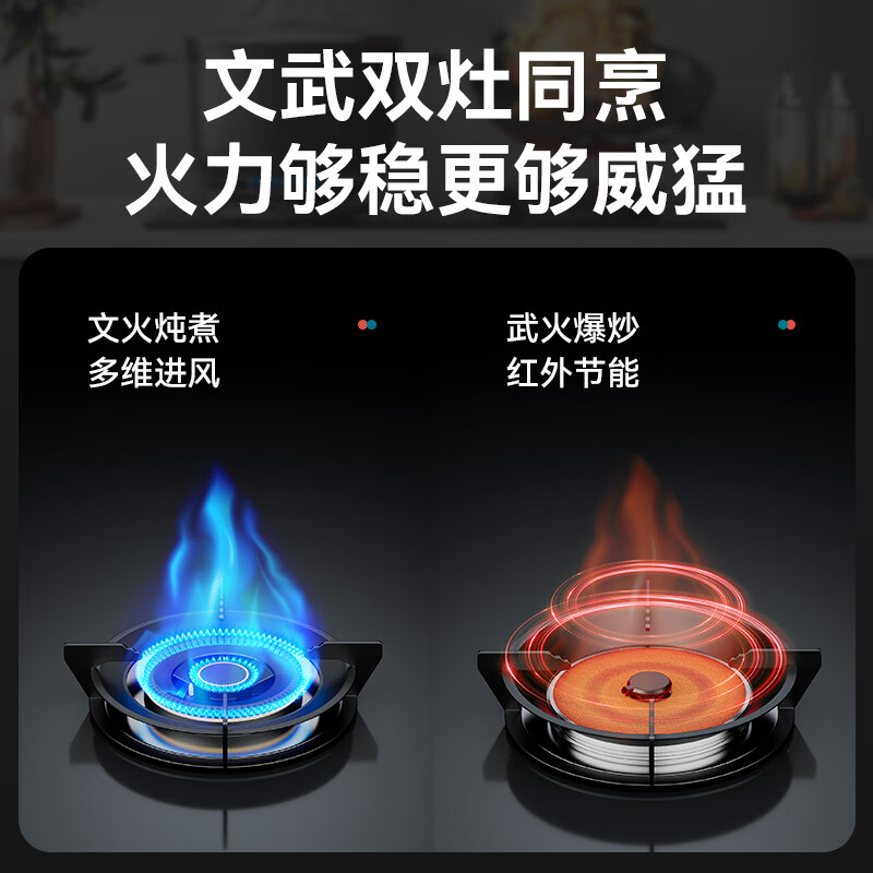 红日(RedSun)定时68%高热效率红外线鸳鸯灶YHM2健康省气小底壳免改孔聚能燃气灶具 68%高能效免改孔小底壳定时鸳鸯灶YHM2S 液化气