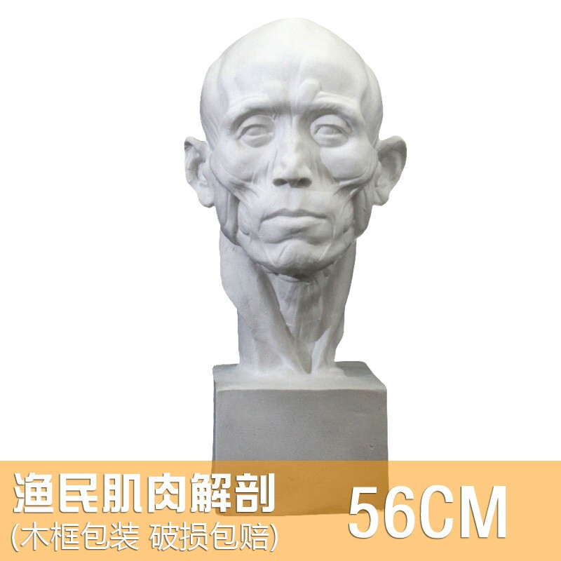 唐帆 56cm渔民石膏像肌肉人物头像美术班教具素描石膏静物模型摆件