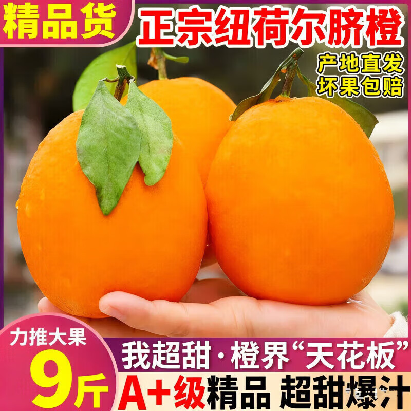 正宗赣南脐橙纽荷尔脐橙新鲜水果橙子 当季水果现摘现发橙子 单果 70-75mm 9斤带箱【净重8.5斤】