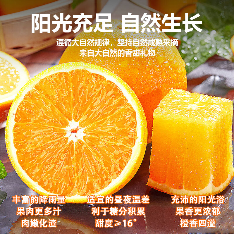 薏品甄鲜赣南脐橙 江西赣州老树果 薄皮无渣甜橙当季新鲜水果 70-80mm 净重9斤装