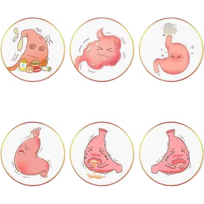 ͩ����θ����ҩθ�͸��Ͷ�������������ƨ�������������Ż�¸�ʹ ������ͪƬθ�������������ҩƢθ������ҩ׼�� 1��װ���������� �ٷ���Ʒ��