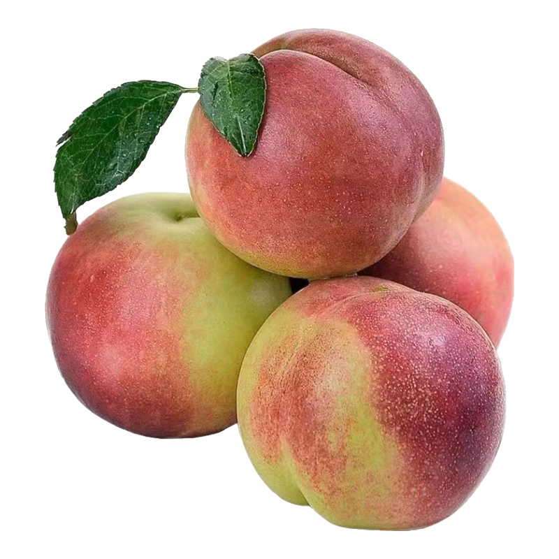 С 60-90 5װ 15.12Ԫ