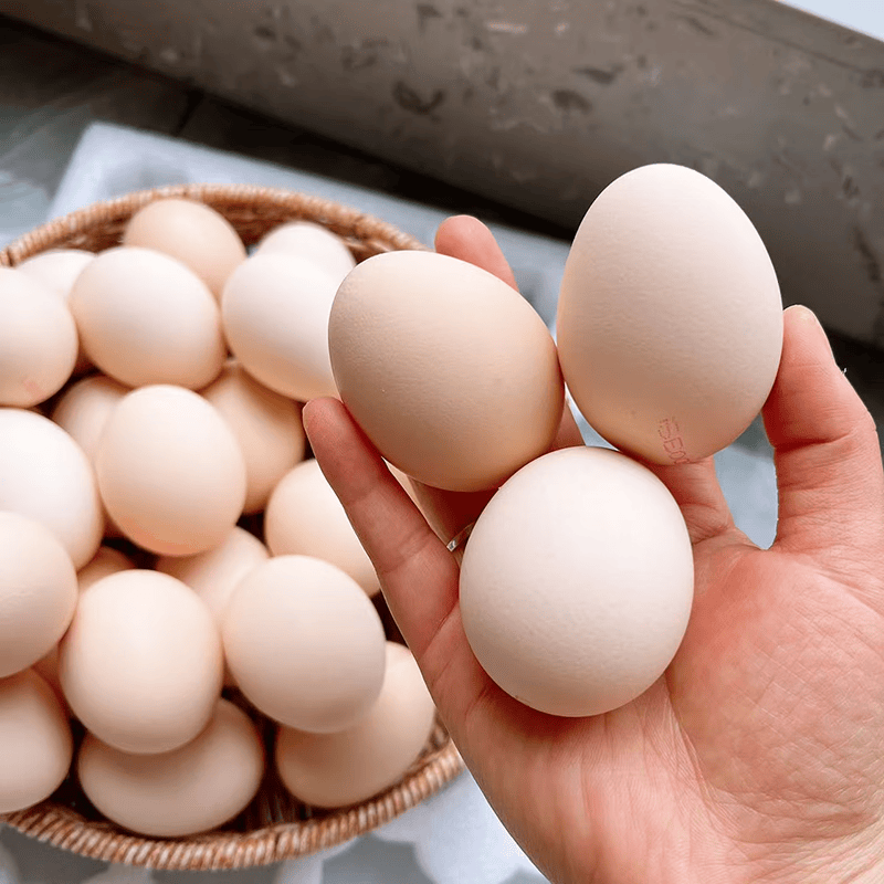 ����Ʒ�ʹ��ۿ���ʳ�޿��ʼ��� 50��/ö 30öװ 18.8Ԫ