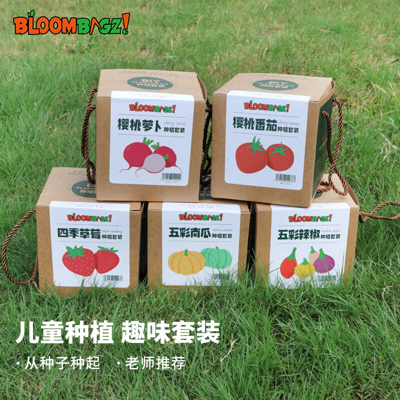 BloombagzDIY趣味种植盆栽套装 儿童植物观察 含土柔性花盆四季草莓种子