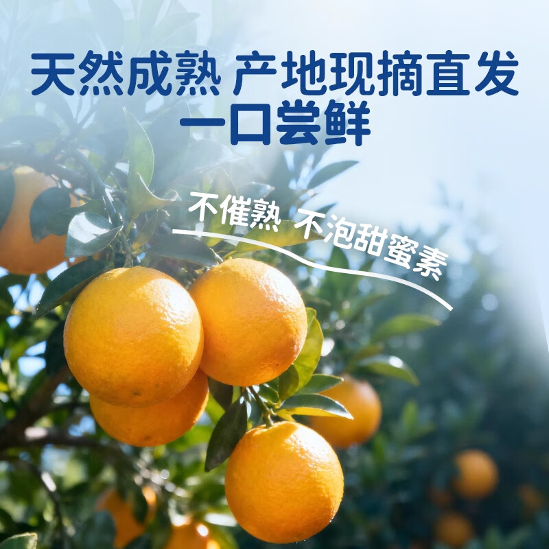 庾丰 正宗江西赣南脐橙 新鲜水果整箱 赣州橙子 团购彩箱送礼春节年货 10斤装 单果80mm-85mm+ 净重9斤