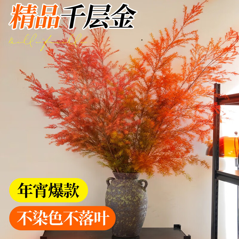 临雅千层金鲜花水培绿植物云南基地香柳鲜切花卉盆栽室内干花花束插花 千层金【红色】1-1.1米2-5枝
