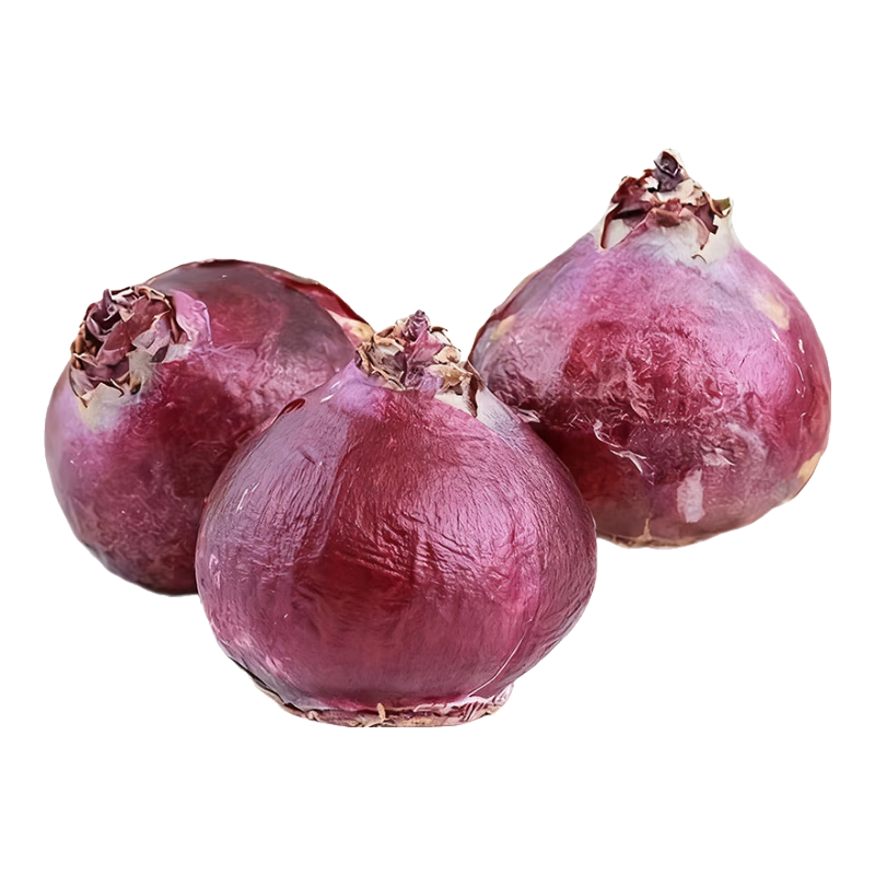 ����������ˮ��������ˮ�������ļ�����ֲ��������װ���ڴ����� ����������1������ɫ������ƿ�����ܳ�15���ס� ���� 3.99Ԫ