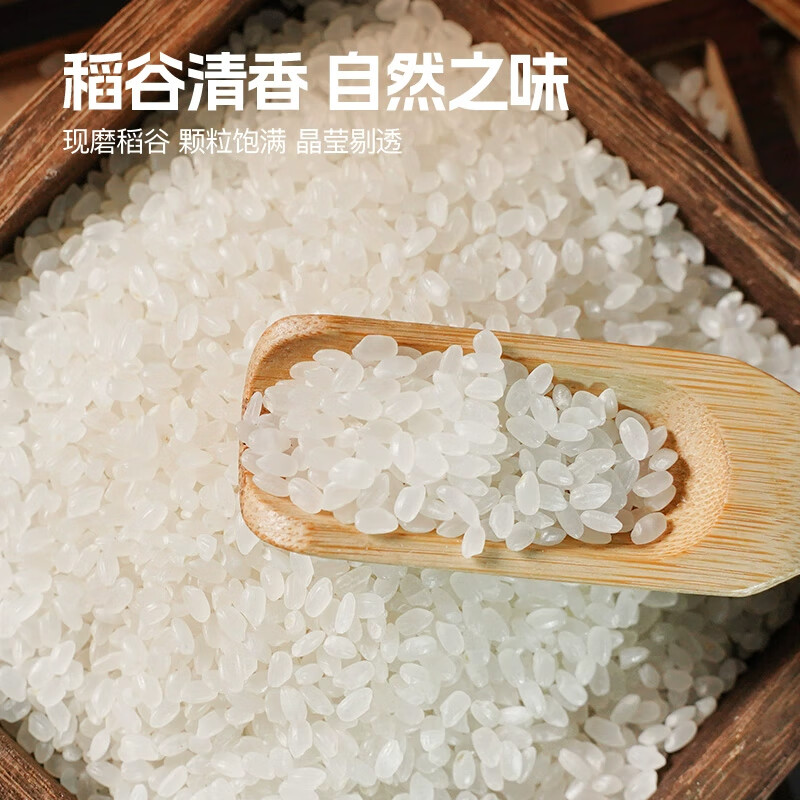 武当农夫 房县特产长粒香米 农家自产袋装2025新米大米 食用煮饭熬粥米粮 珍珠香米20斤装 10kg*1袋