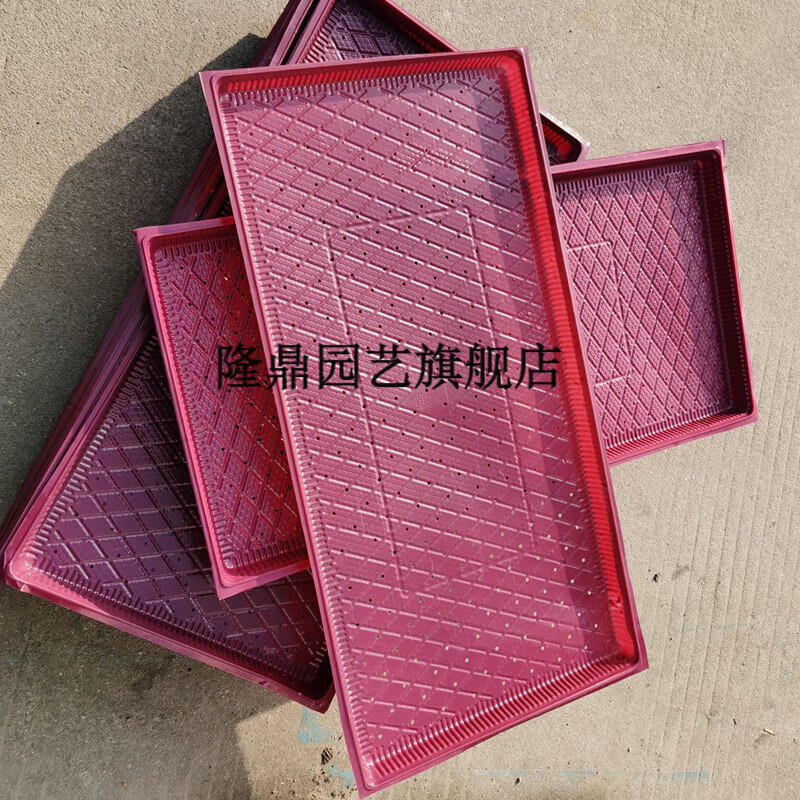 抛秧插秧盘新款水稻育秧盘 育苗盆 9寸7寸机插秧盘手抛育秧盘平底 9寸