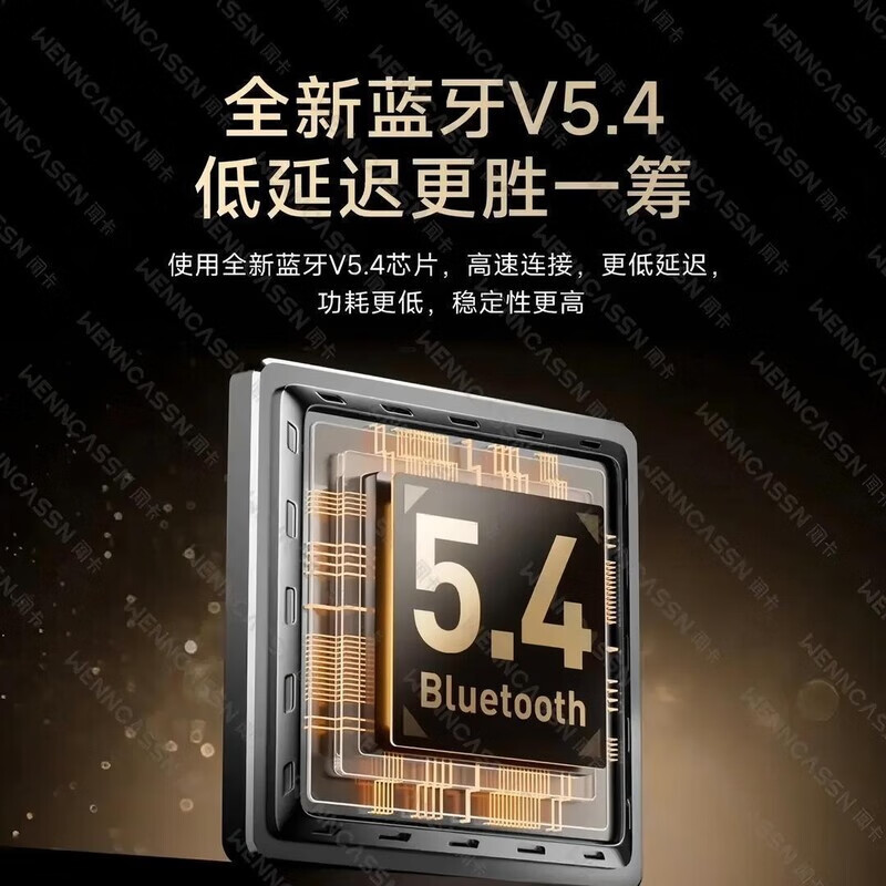 闻卡【2025全新升级  12Pro】千元动态彩屏 降噪全新升级自定义壁纸等多种功能 黑色 巅峰12代Pro【锖色】