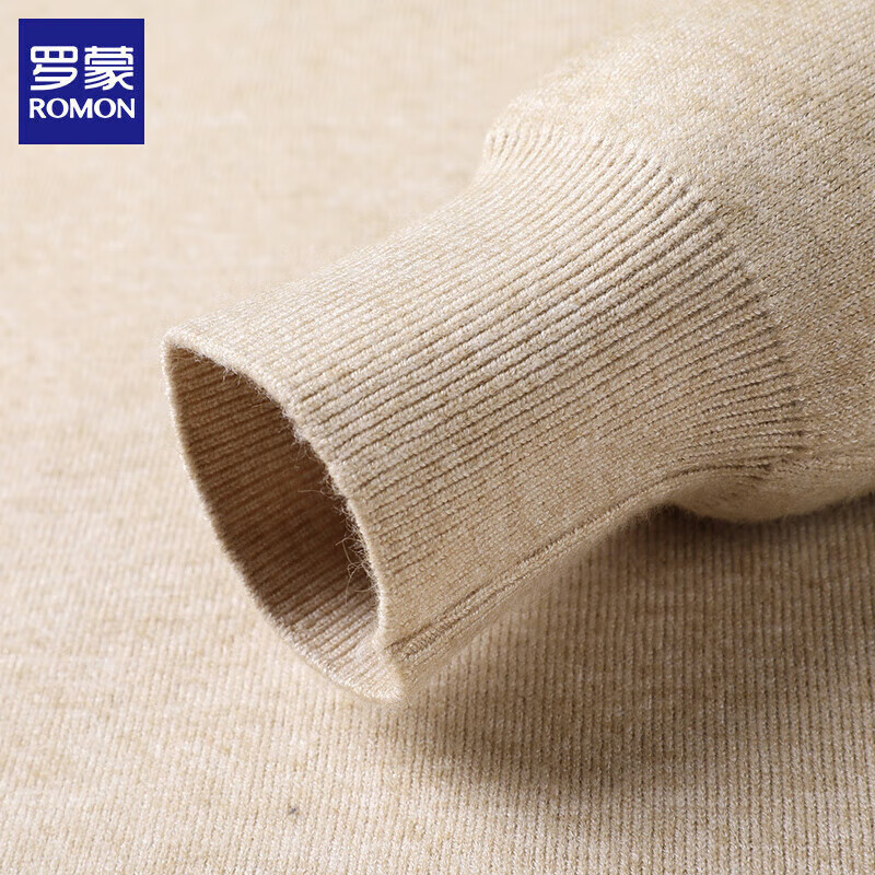罗蒙(ROMON)半高领纯色男士毛衣2025秋冬季保暖打底衫宽松休闲针织衫上衣服 黑色 XL (建议体重130-145斤)