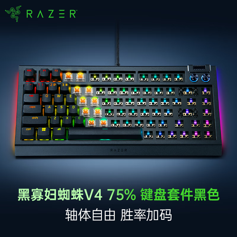 雷蛇（Razer）黑寡妇蜘蛛V4-75%热插拔 黑色 GASKET结构 RGB幻彩灯效 DIY外设 客制化 机械键盘