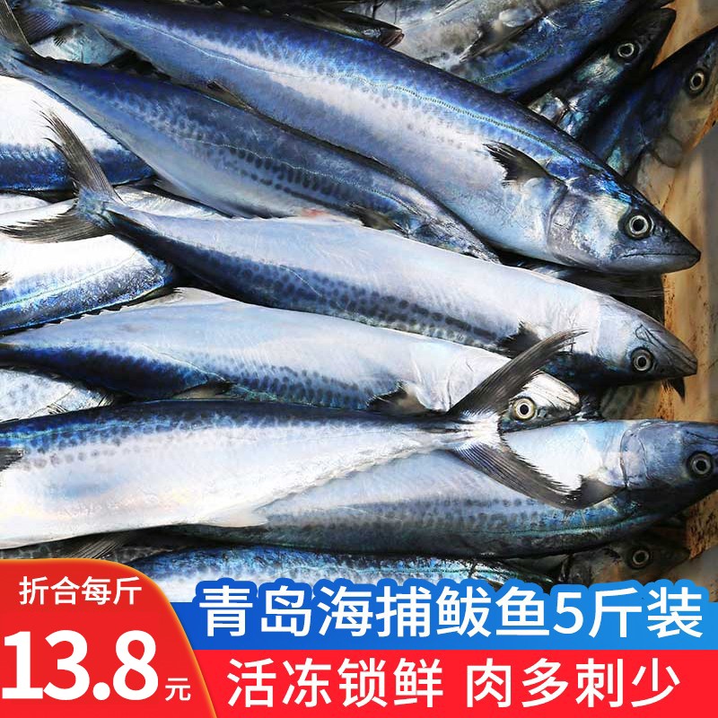 渔哥戏鱼 青岛大鲅鱼 活冻海捕大鲅鱼 5斤5条 整条海鱼马鲛鱼鲅鱼段馅