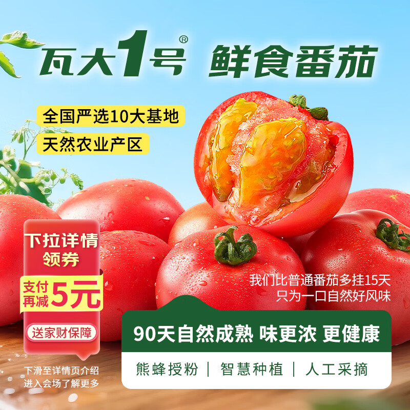 京鲜生&瓦大1号西红柿自然熟 酸甜爆汁 新鲜番茄 净5斤单55g+源头直发