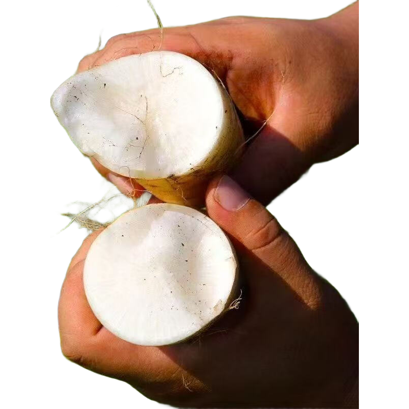 �ӱ����ʰ��ܲ� 3�ﾻ�� ɳ��ˮ���ܲ� Ӫ������ũ���߲� 3.89Ԫ