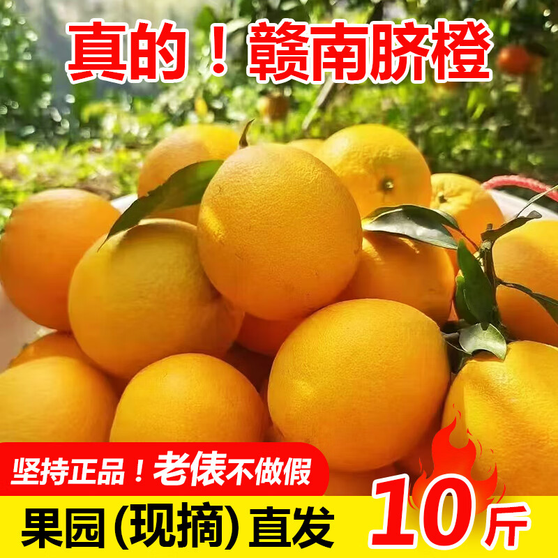 赣南脐橙江西正宗赣南脐橙新鲜水果现摘产地直发10斤整箱甜橙手剥榨汁孕妇 5斤装精品65-75mm中大果【试吃装】