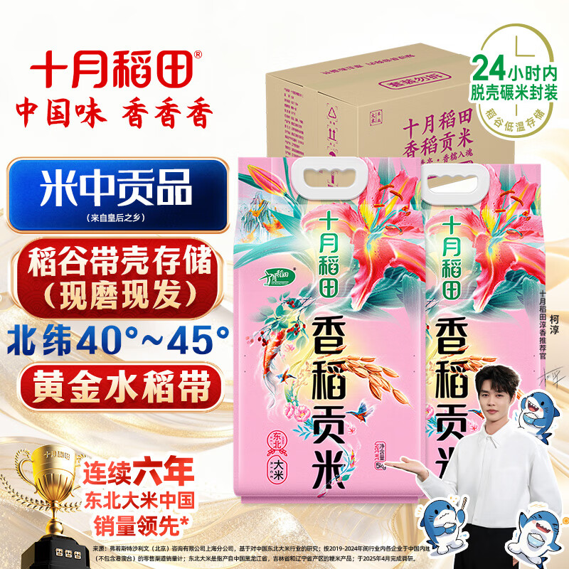 十月稻田 香稻贡米 东北大米 5kg*2/箱装 香米 粳米 10kg 20斤