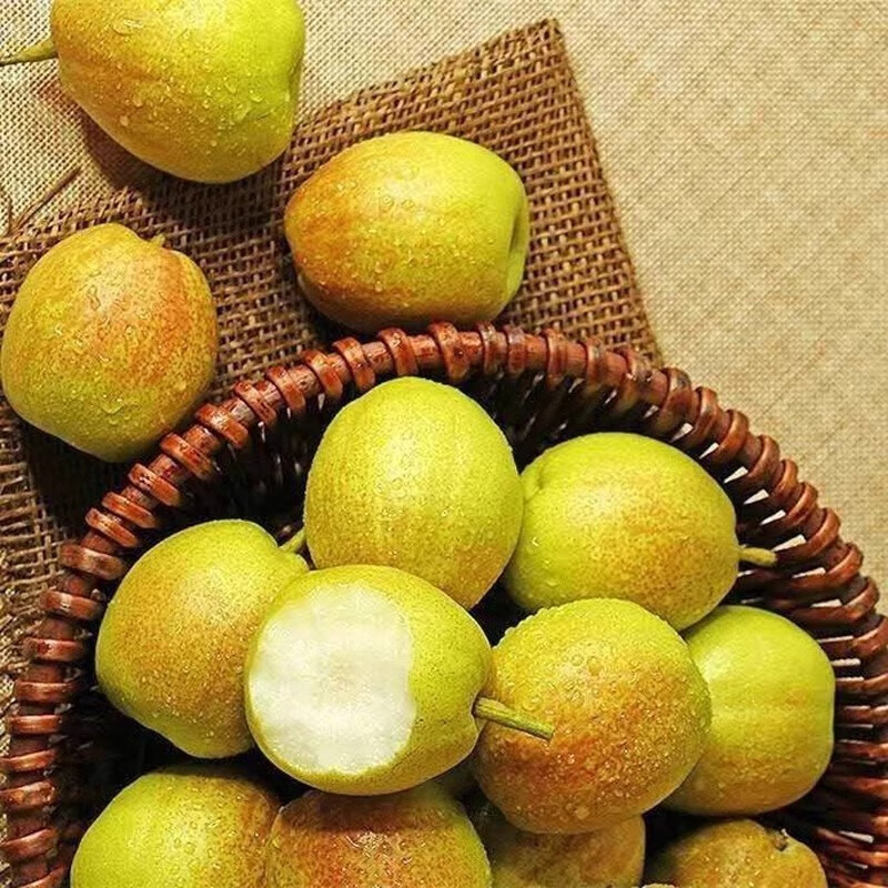 绿熊庄园新疆库尔勒香梨新鲜香梨子皮薄脆甜多汁应季孕妇水果当季源头直采 【热销特级果】  单果120g往上 净重4.5-5斤