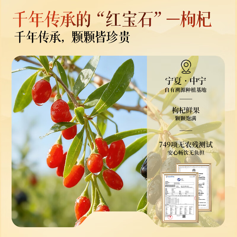 轻上东方补者冬瓜荷叶薏米水植物饮料整箱装小瓶饮料清爽解渴礼盒装 枸杞桑椹汁235ml*10瓶