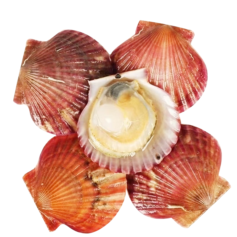 ڲǢʱ¡С챴ʻȱشˮǱۻտ ѡС챴 5Լ10-16/ 39.8Ԫ