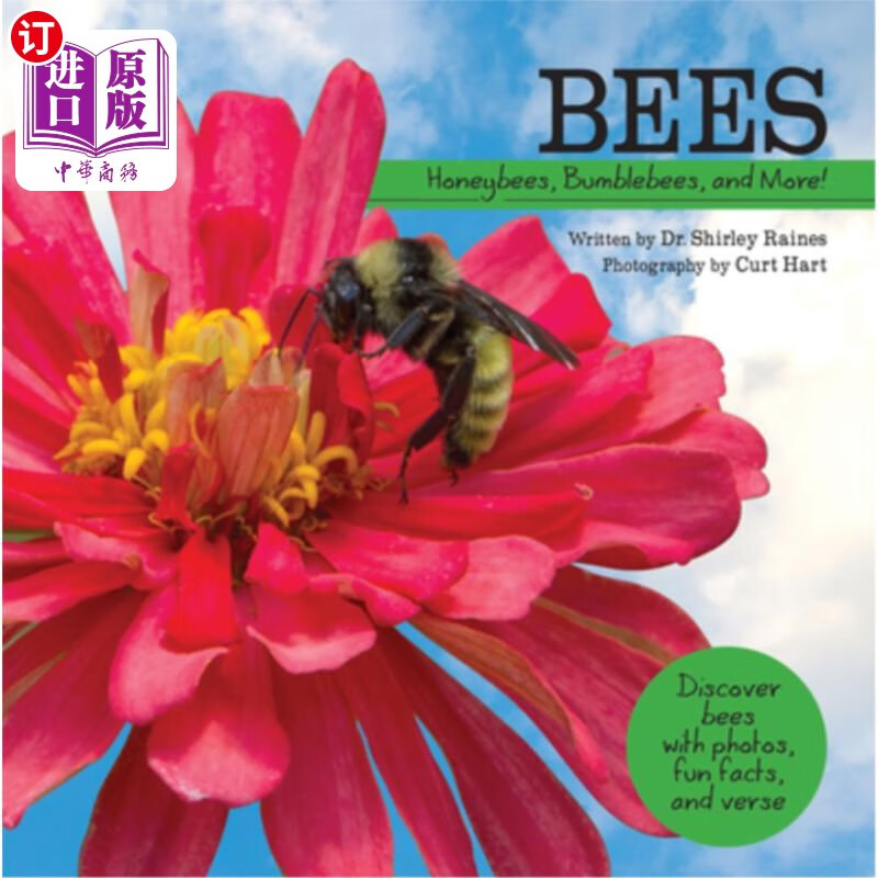 海外直订bees: honeybees, bumblebees, and more! 蜜蜂:蜜蜂,大黄蜂,