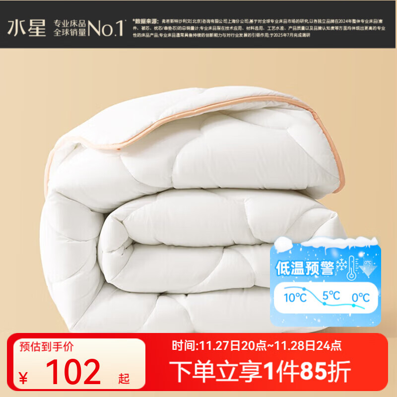百丽丝水星集团旗下被子被芯 A类亲肤秋冬保暖加厚被芯七孔纤维透气冬被 加厚冬被【A类透气纤维】白 双人被1.8/2米(被芯220*240cm)