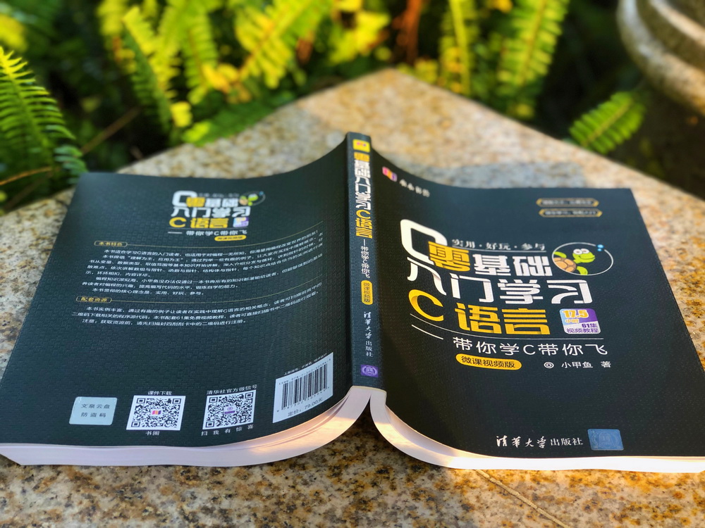 零基础入门学习C语言：带你学C带你飞（微课视频版）