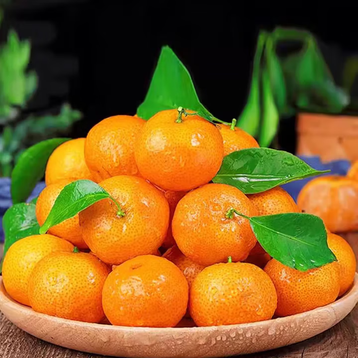 懒鲜生广东正宗沙糖桔清甜无渣砂糖橘 8斤净重 大果（50-60mm）