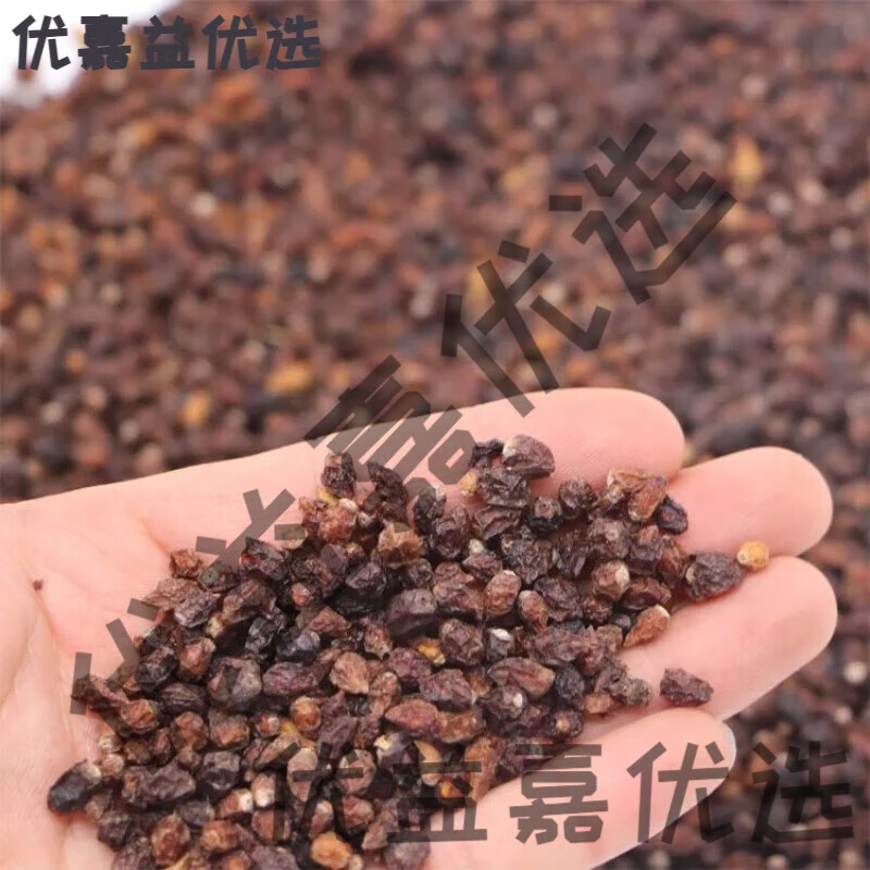 甘肃武威特产白刺果沙漠樱桃沙漠白刺果酸胖沙漠樱桃泡茶煲汤金昌