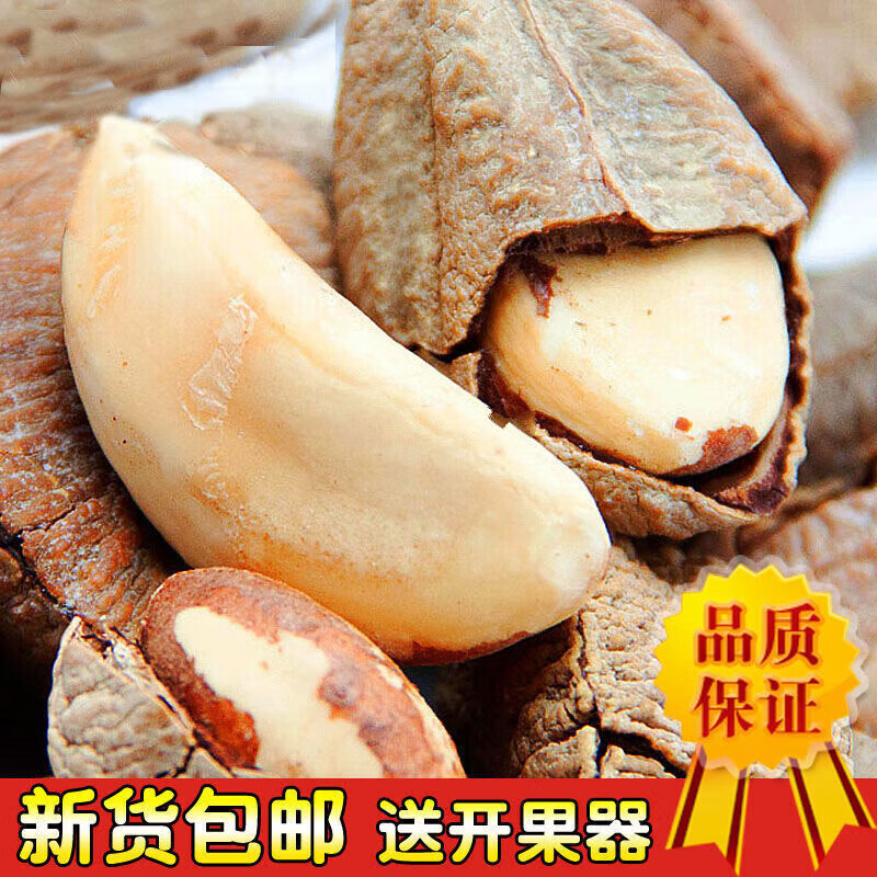 食怀鲍鱼果原味新疆产大颗500g坚果干炒货年货休闲零食品孕妇 鲍鱼果袋装250g*1