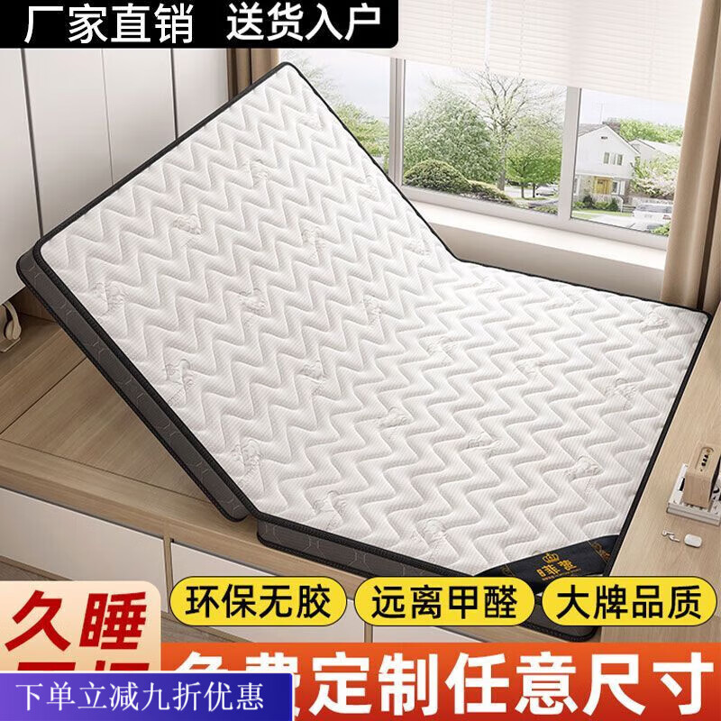 倘然之家榻榻米床垫定制尺寸乳胶天然椰棕塌塌米垫子软垫家用卧室专用床垫 6cm羊绒棉+3E无胶椰棕+双层 800mm*2000mm【送货入户】