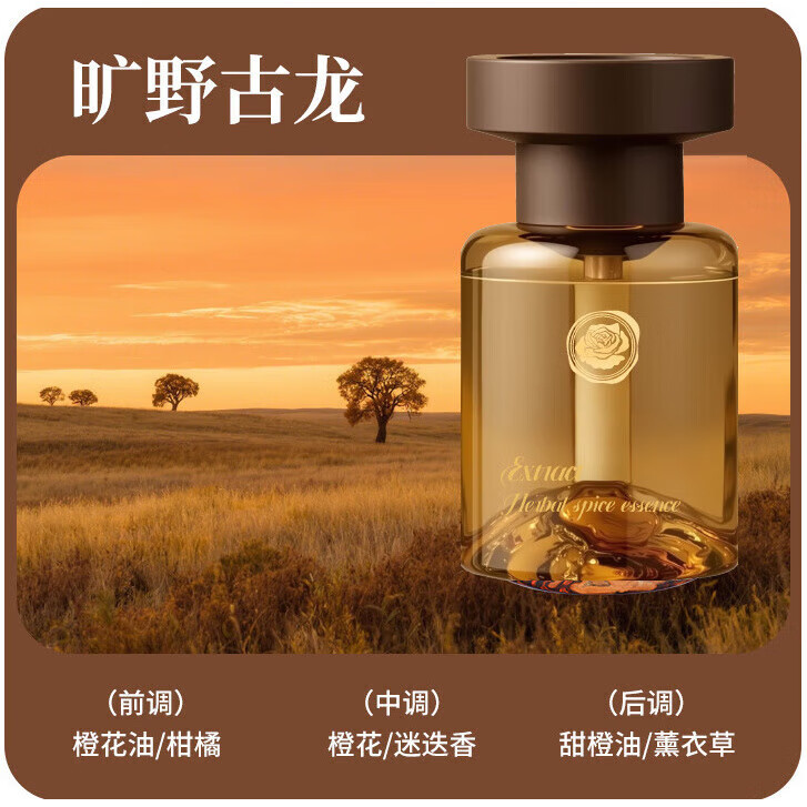 其他家  OTHER HOME见山车载香薰感持久留香 绅士古龙